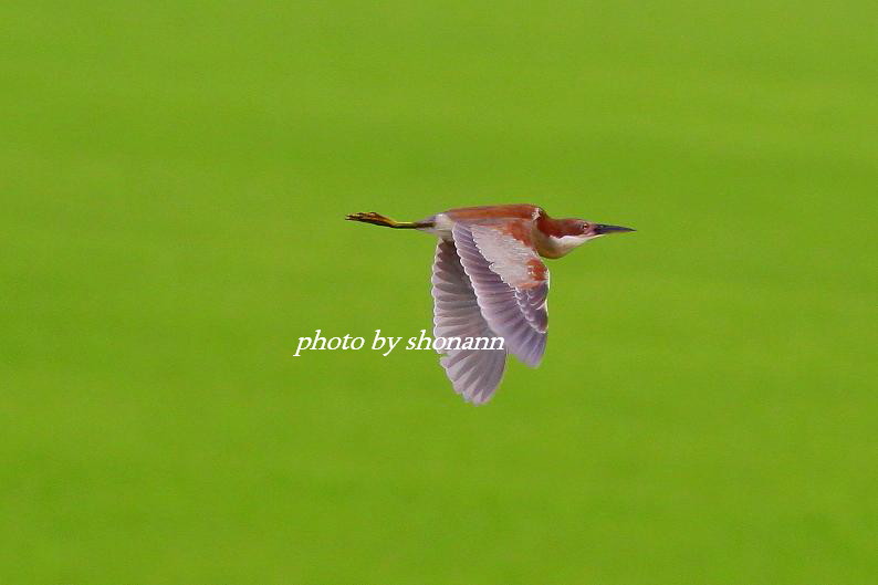 �Ó�̕��ƌ�