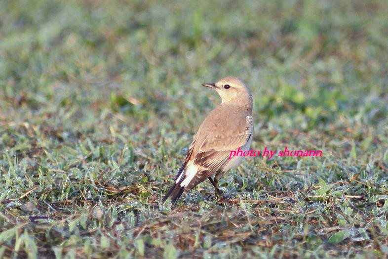 �Ó�̕��ƌ�