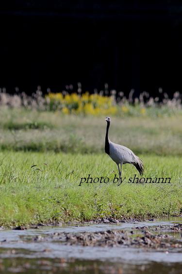 �Ó�̕��ƌ�