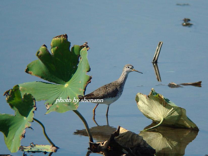 �Ó�̕��ƌ�