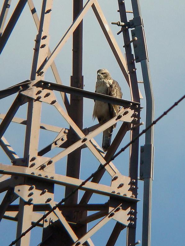 �Ó�̕��ƌ�