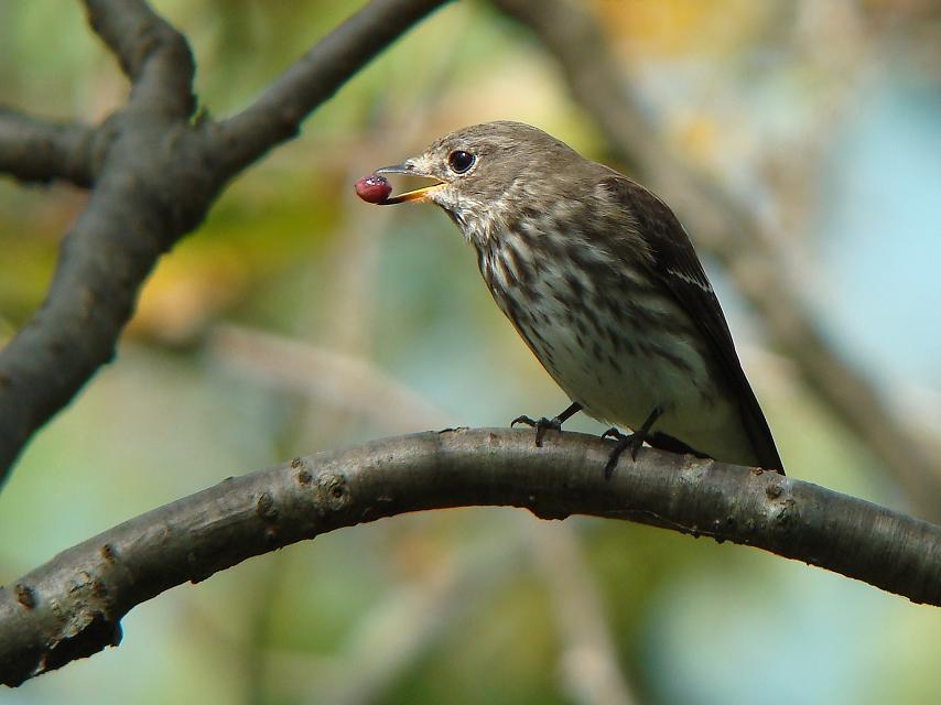 �Ó�̕��ƌ�