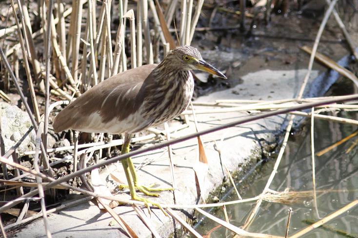 �Ó�̕��ƌ�