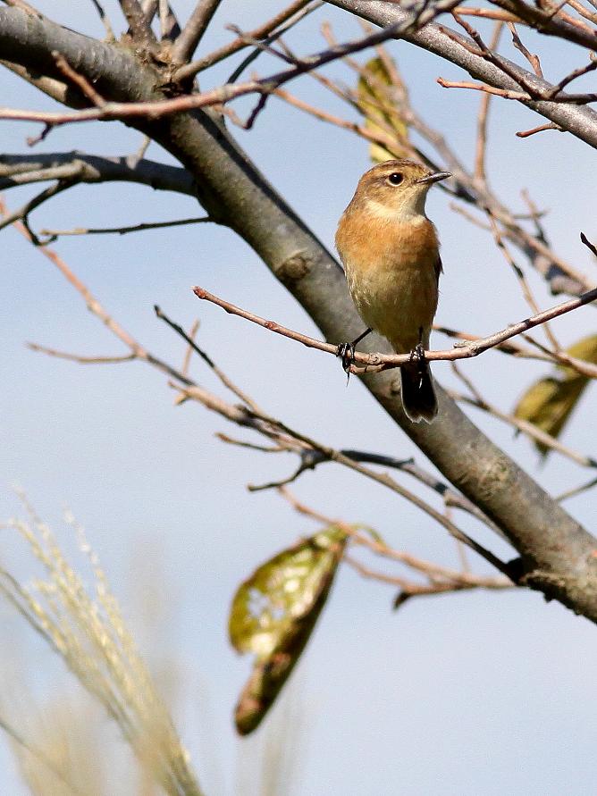 �Ó�̕��ƌ�