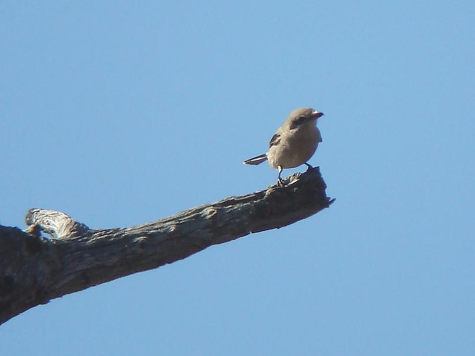 �Ó�̕��ƌ�