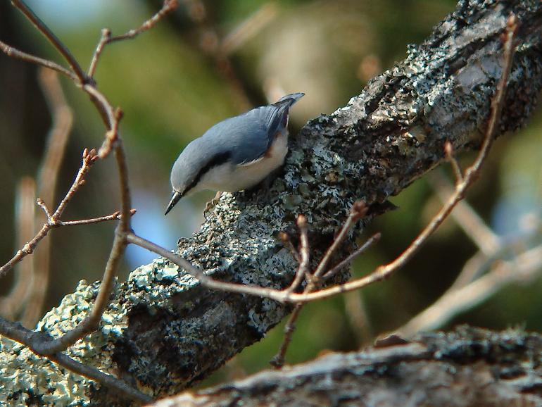 �Ó�̕��ƌ�