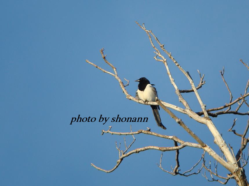 �Ó�̕��ƌ�