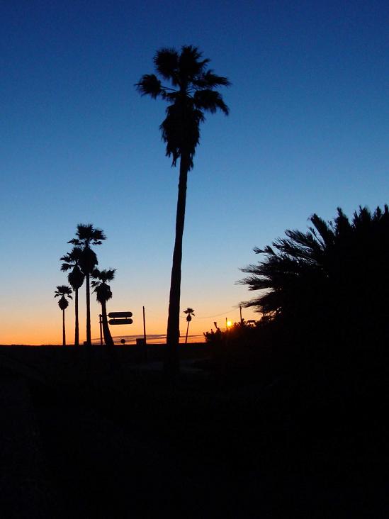 �Ó�̕��ƌ�