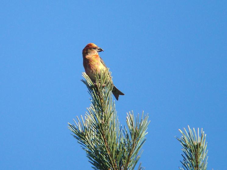 �Ó�̕��ƌ�