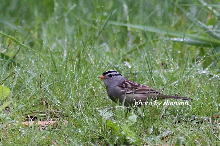 �Ó�̕��ƌ�