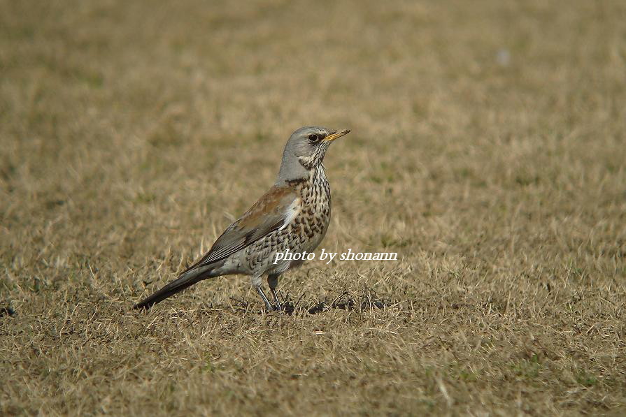 �Ó�̕��ƌ�