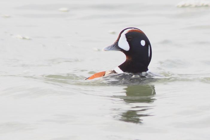 �Ó�̕��ƌ�