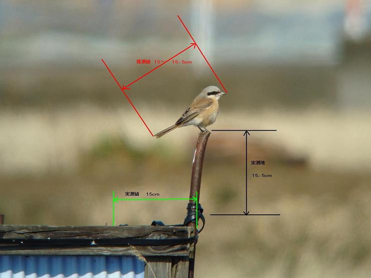 �Ó�̕��ƌ�