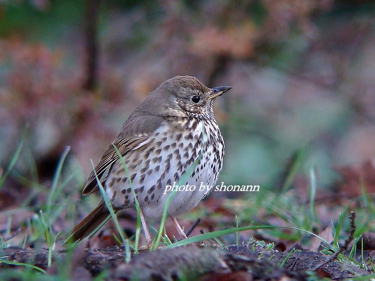 �Ó�̕��ƌ�