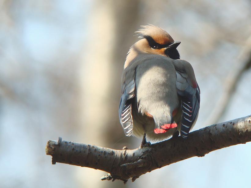 �Ó�̕��ƌ�