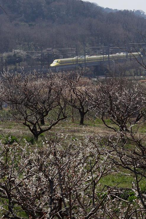 �Ó�̕��ƌ�