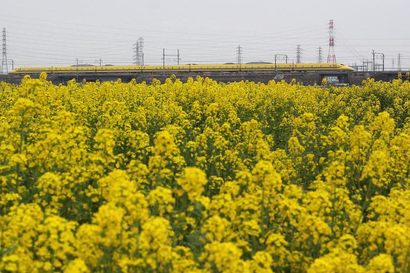 �Ó�̕��ƌ�