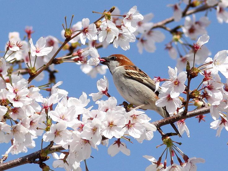 �Ó�̕��ƌ�