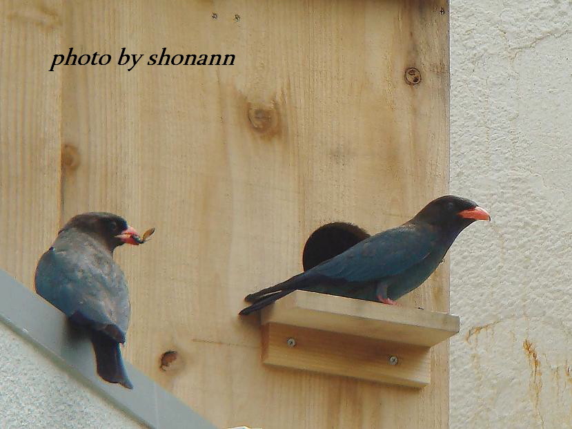 �Ó�̕��ƌ�