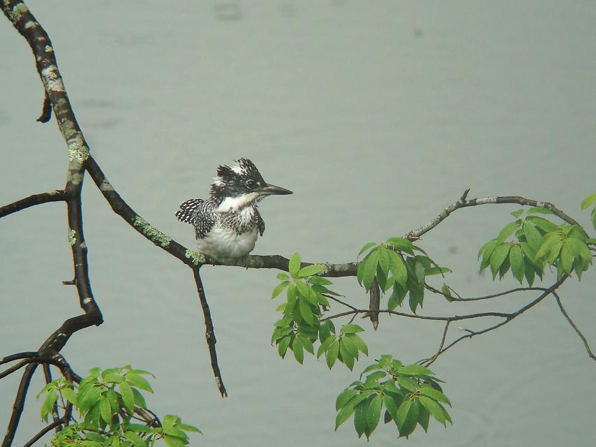 �Ó�̕��ƌ�