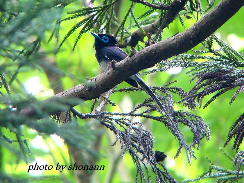 �Ó�̕��ƌ�