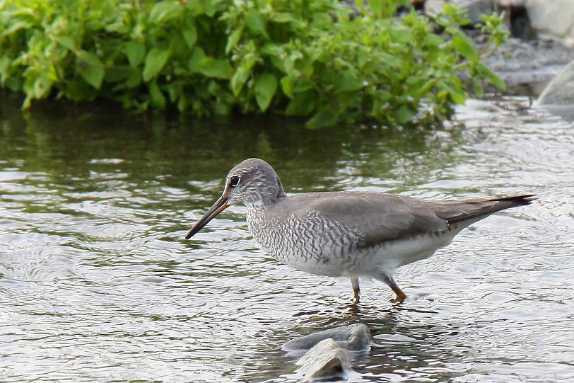 �Ó�̕��ƌ�