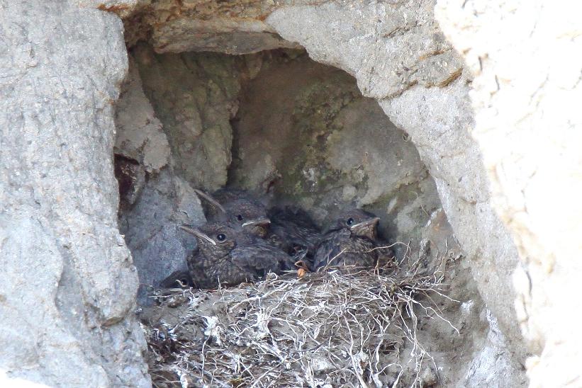 �Ó�̕��ƌ�