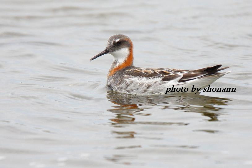 �Ó�̕��ƌ�