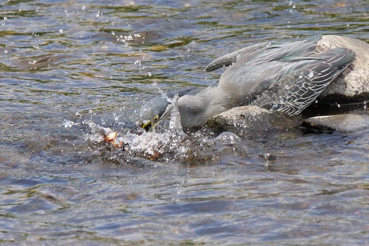 �Ó�̕��ƌ�