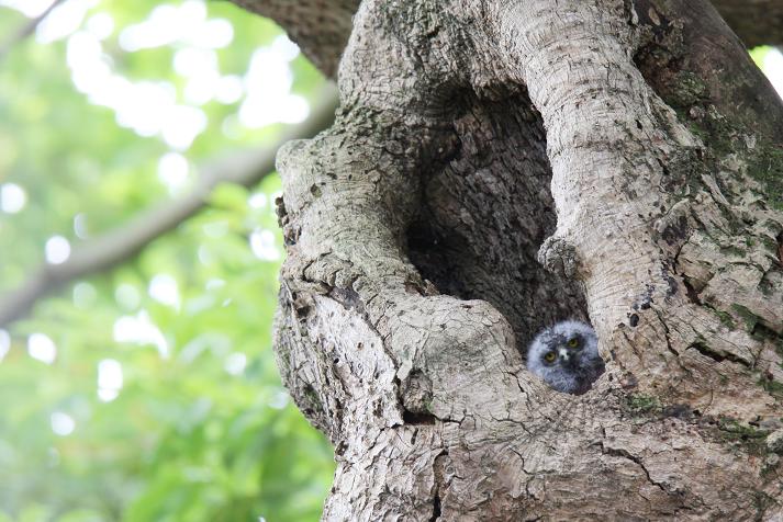 �Ó�̕��ƌ�