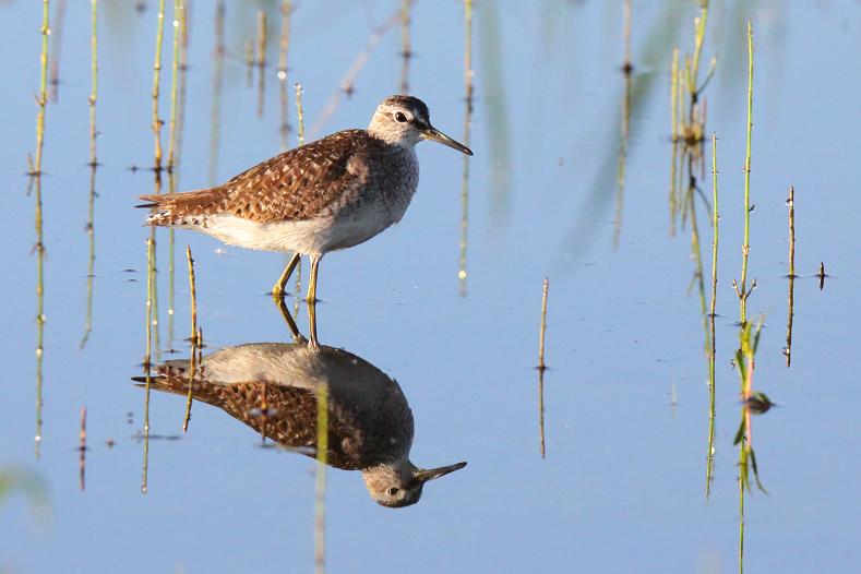 �Ó�̕��ƌ�