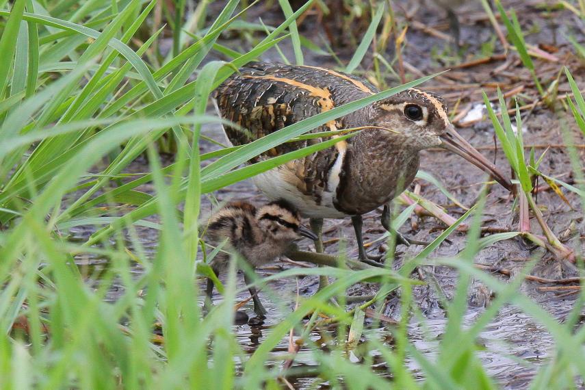 �Ó�̕��ƌ�