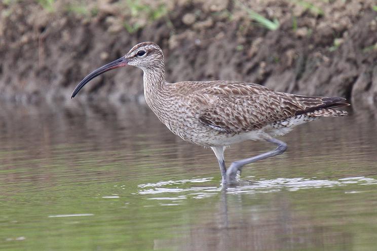 �Ó�̕��ƌ�