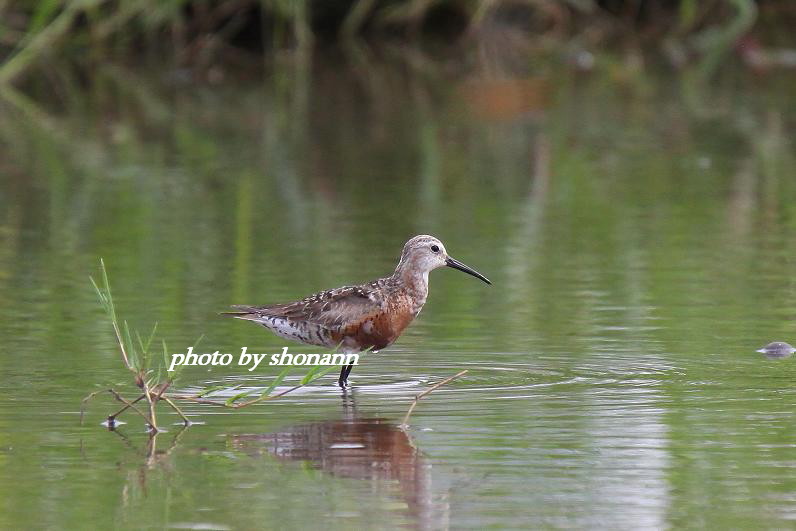 �Ó�̕��ƌ�