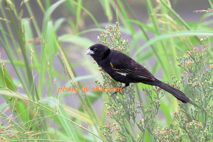 �Ó�̕��ƌ�