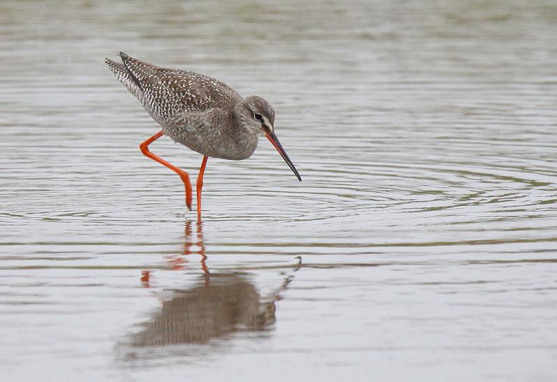 �Ó�̕��ƌ�