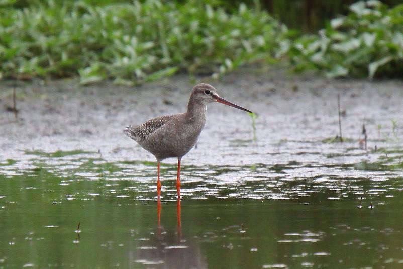 �Ó�̕��ƌ�