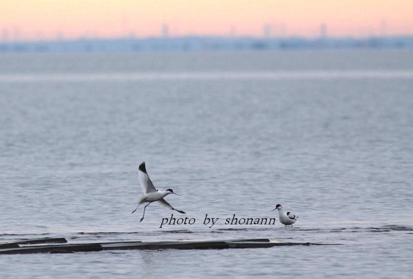 �Ó�̕��ƌ�