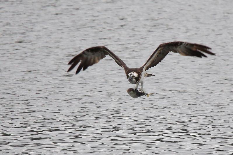 �Ó�̕��ƌ�