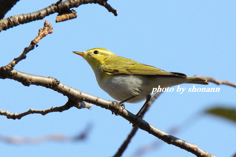 �Ó�̕��ƌ�