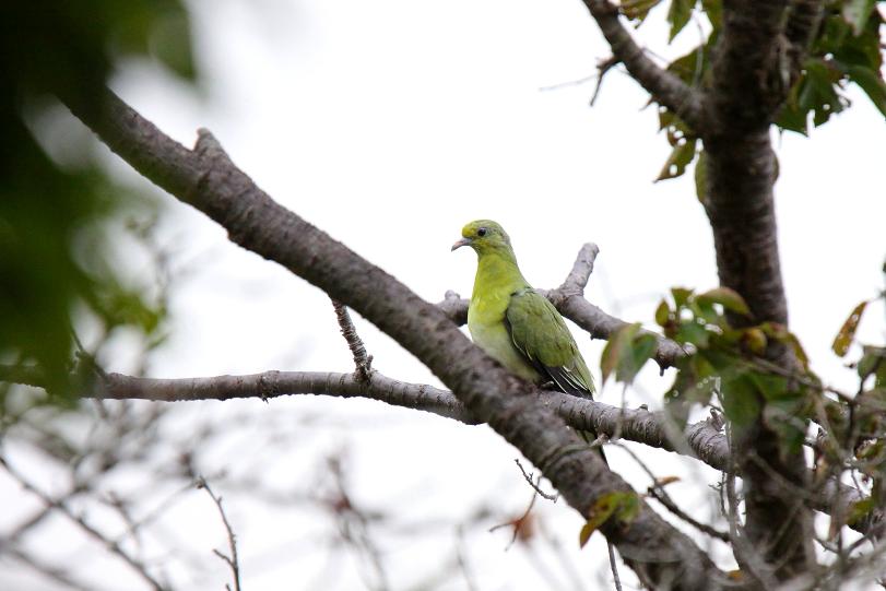 �Ó�̕��ƌ�