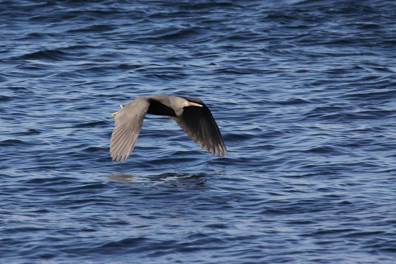 �Ó�̕��ƌ�