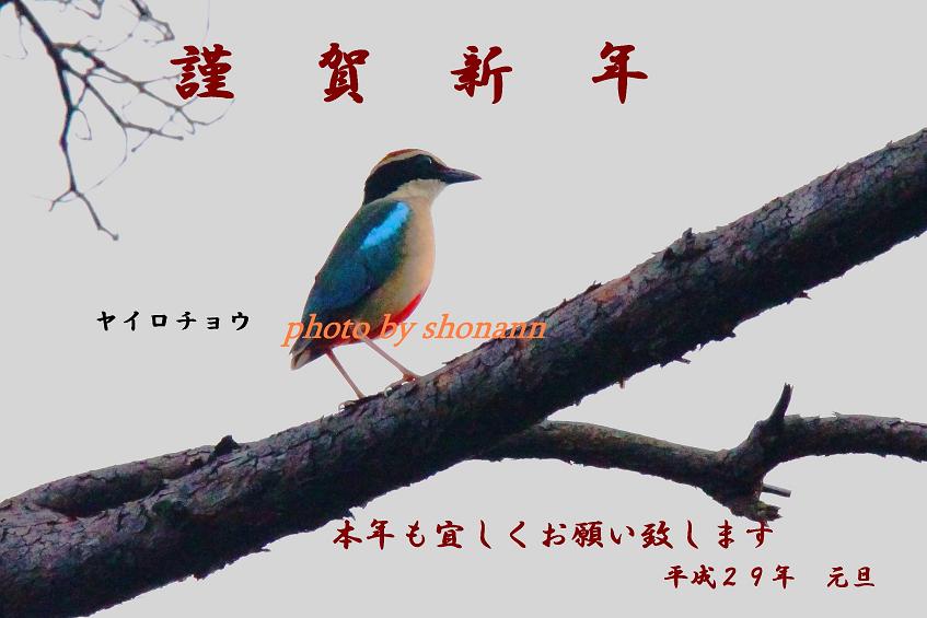 �Ó�̕��ƌ�