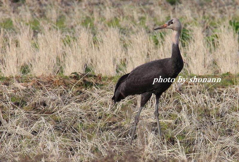 �Ó�̕��ƌ�