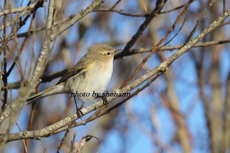 �Ó�̕��ƌ�