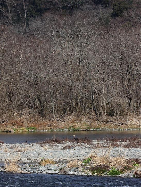 �Ó�̕��ƌ�