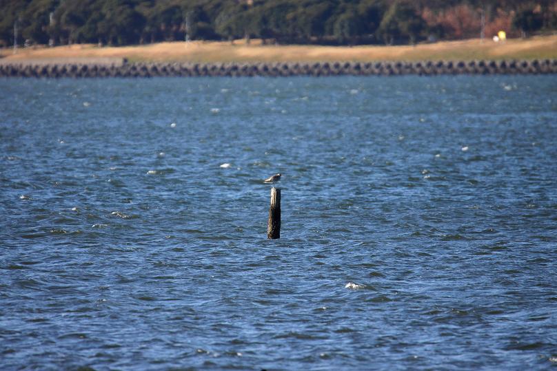 �Ó�̕��ƌ�