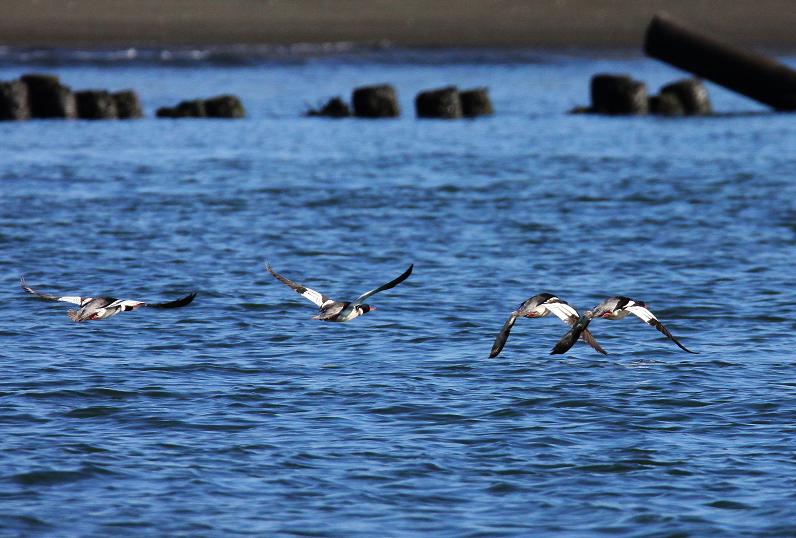 �Ó�̕��ƌ�