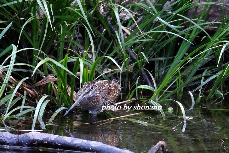 �Ó�̕��ƌ�