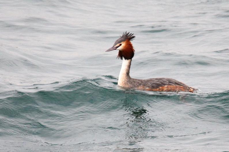 �Ó�̕��ƌ�